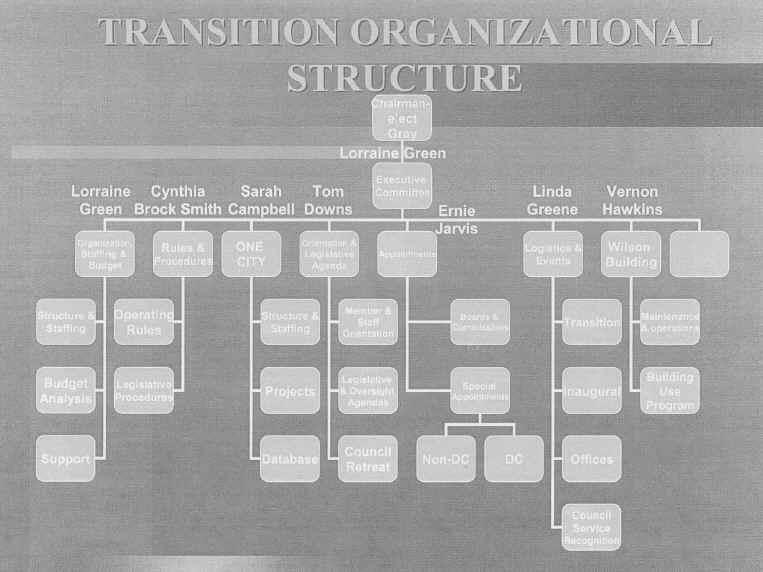 transition organizational structure