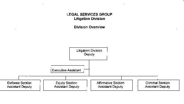 Litigation Division chart