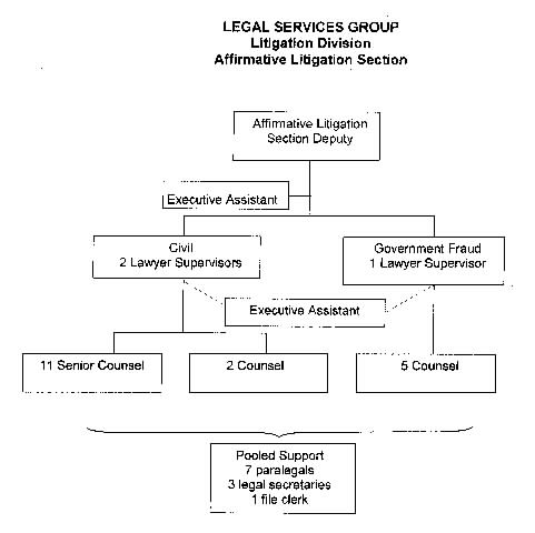 Affirmative Litigation Section chart
